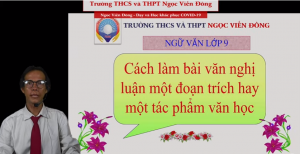 Thầy Nguyễn Văn Long - Bài giảng cách làm bài nghị luận một đoạn trích hay một tác phẩm văn học.