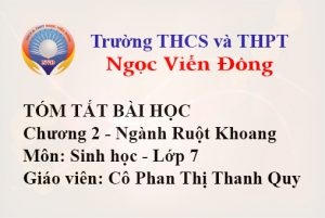 Chương 2 - Ngành Ruột Khoang - Môn Sinh học lớp 7 - Trường THCS và THPT Ngọc Viễn Đông