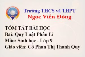 Quy Luật Phân Li - Môn Sinh học lớp 9 - Trường THCS và THPT Ngọc Viễn Đông